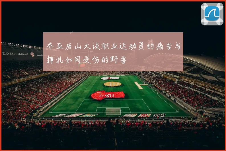 乔亚历山大谈职业运动员的痛苦与挣扎如同受伤的野兽